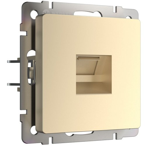 Розетка компьютерная без рамки Werkel 1-м. RJ45 5e шампань металлик картинка